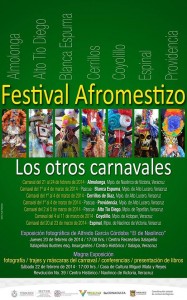 Cartel Festival Afromestizo