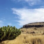 Tecozautla un pueblo mágico de Hidalgo en México 2318_hidalgo_destinos-principales_tecozautla_02