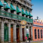 actividades-principales_veracruz_coatepec_explora-coatepec-ciudad-de-cafe-y-orquideas_01